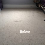 Bedroom-Wall-to-Wall-Carpet-Cleaning-El-Cerrito-A