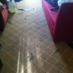 El-Cerrito-Carpet-Clean-before