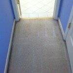 El-Cerrito-Vomit-after-carpet
