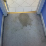 El-Cerrito-Vomit-before-carpet