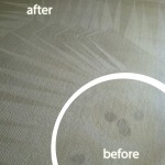 El-Cerrito-Wine-Stain-Carpet-Cleaning